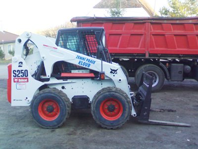 Bobcat_1.jpg