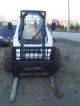 bobcat_2